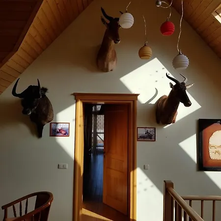 Апартаменты Apartamentai Hunter House *
