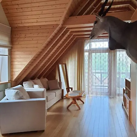 Апартаменты Apartamentai Hunter House *