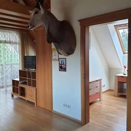 Apartamentai Hunter House Апартаменты