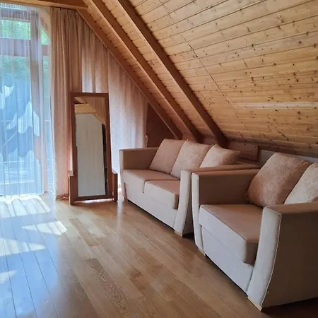 Apartamentai Hunter House Apartament Druskieniki