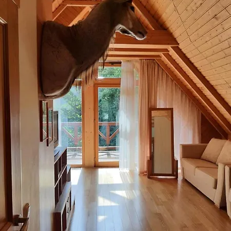 Апартаменты Apartamentai Hunter House *
