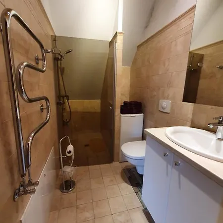 Apartamentai Hunter House Апартаменты Друскининкай