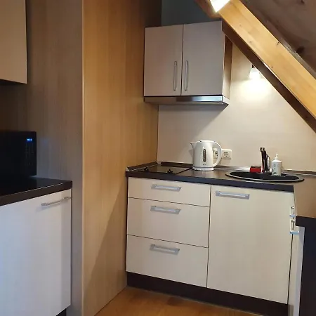 Apartamentai Hunter House Apartment *