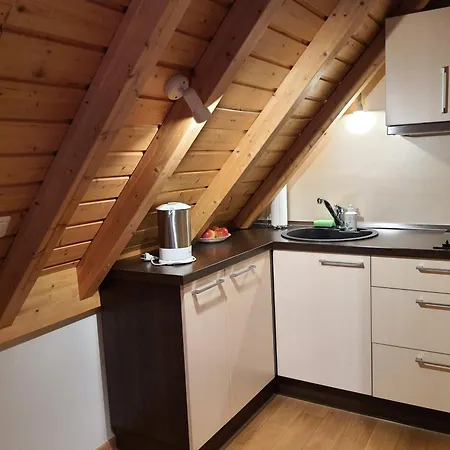 Apartamentai Hunter House Апартаменты Друскининкай