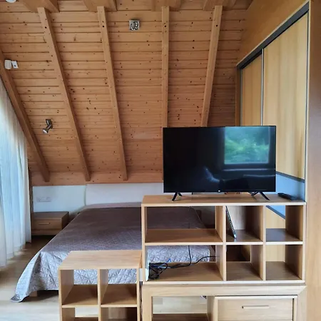Apartamentai Hunter House Друскининкай