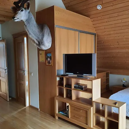 Apartamentai Hunter House * Друскининкай
